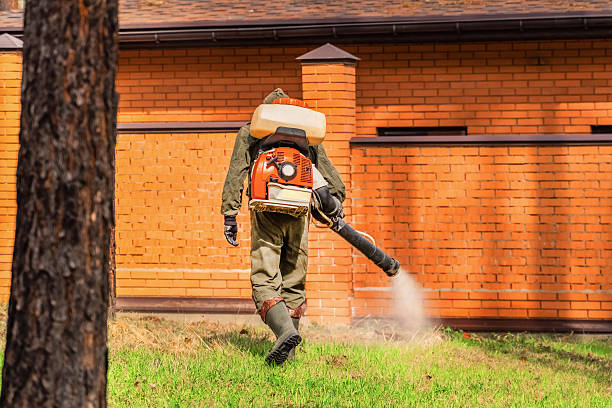 Trusted Mosquito Control service in Beacon Hill, WA - Nex Pest Control